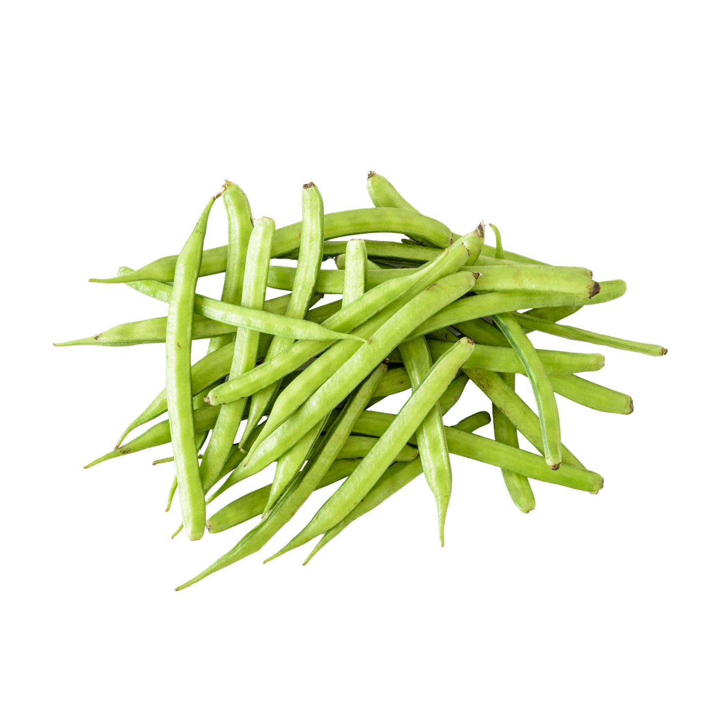 Guarbohne (Indien) 1kg